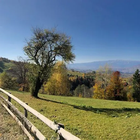 Apartamento The Old Town Nest *