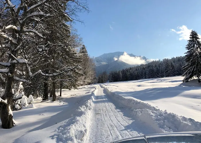 Apartment The Old Town Nest