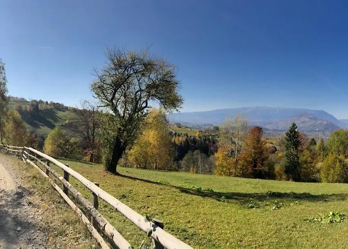 Apartment The Old Town Nest *