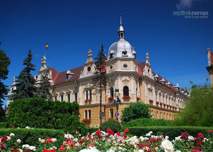 The Old Town Nest Apartment