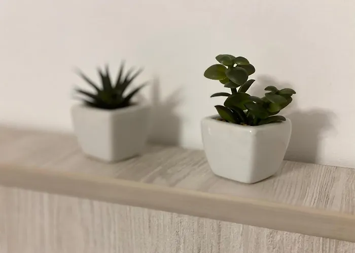 Apartment The Old Town Nest Brasov